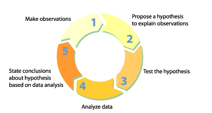 Steps in the Scientific Methods