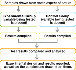 Qualities of a good experiment flowchart showing experimental design drawn from nature.