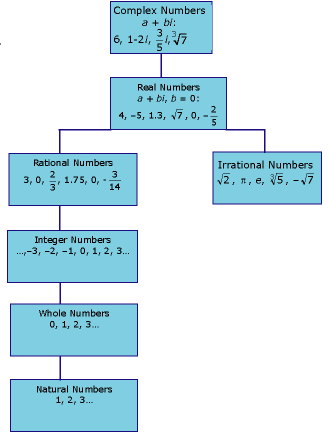 Hierarchy of Numbers