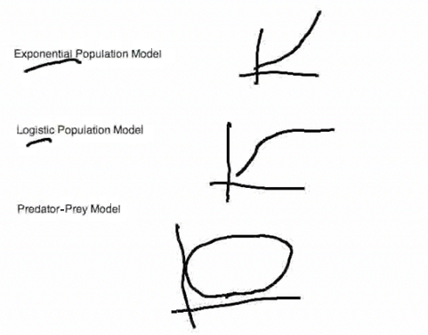 graphs of the exponential population, logistic population, and predator-prey models